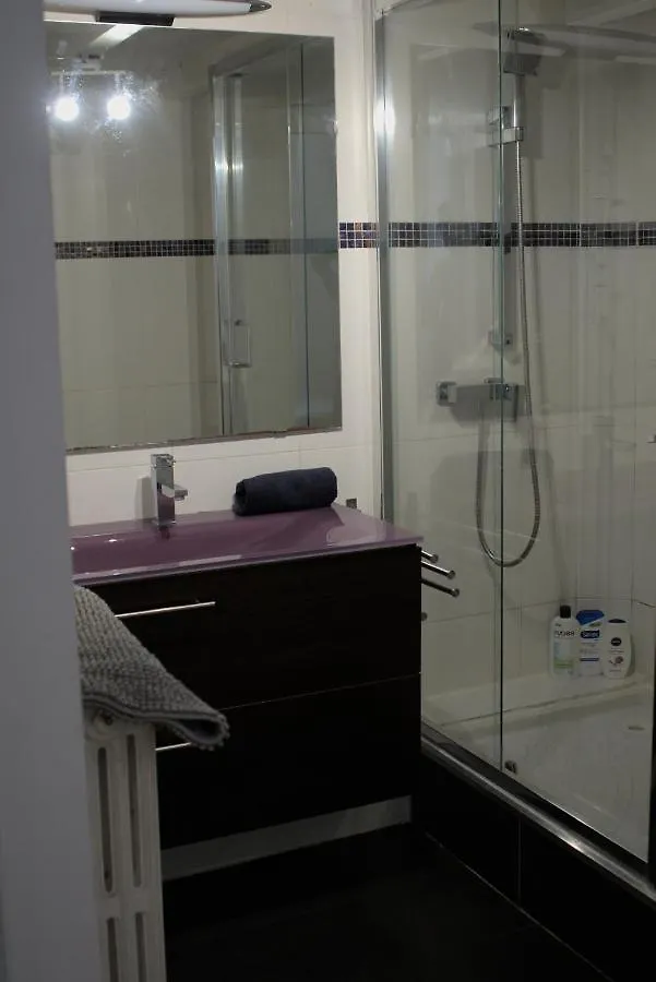 Apartament Le Grand Compans Tuluza